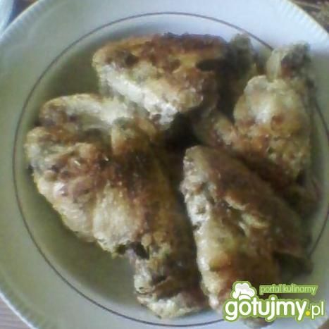 Porosołowe skrzydełka Porosołowe skrzydełka