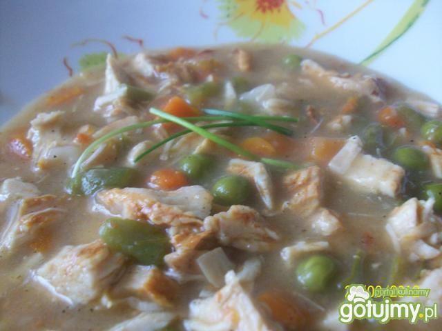 potrawka gyros z kurczaka 