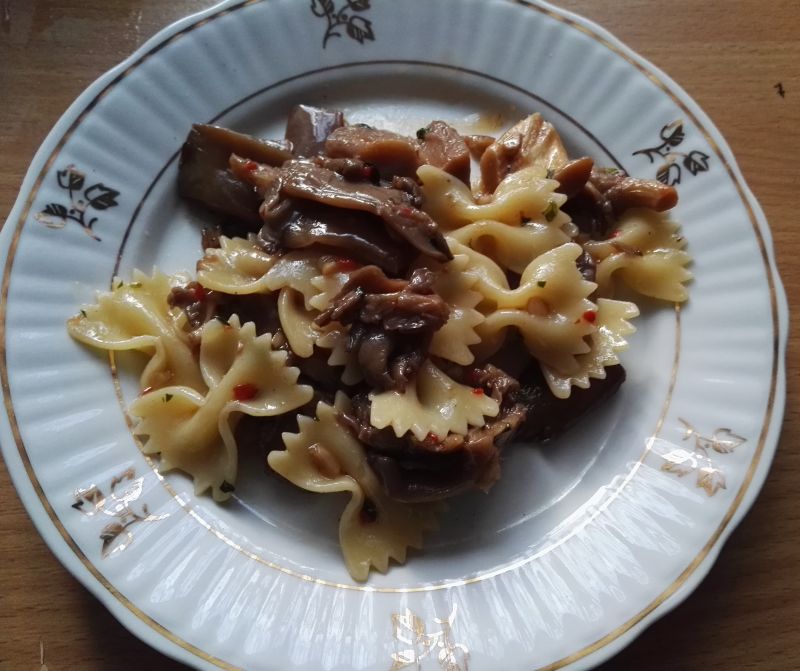 Potrawka makaronowa z boczniakami