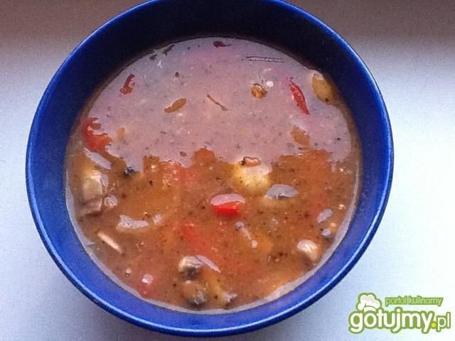 Potrawka z kurczaka a'la strogonow