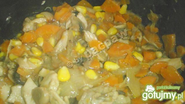 Potrawka z kurczaka marchewkowa