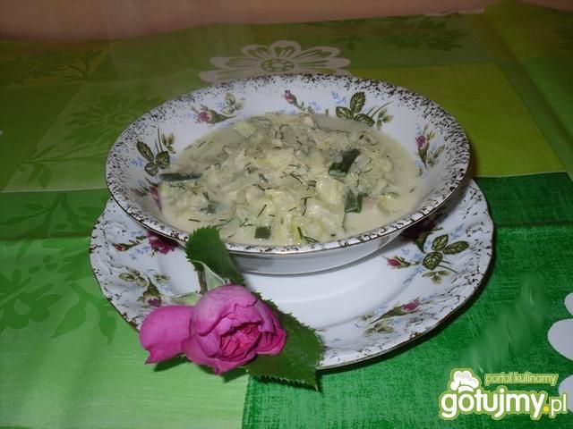 Potrawka z młodej kapustki  Potrawka z młodej kapustki