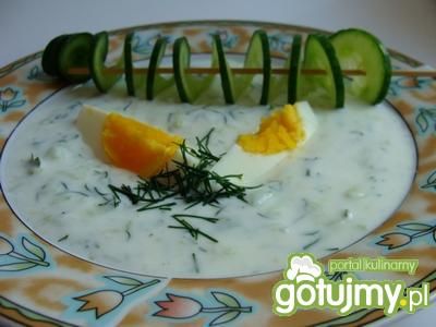 Pożywny chłodnik Pożywny chłodnik