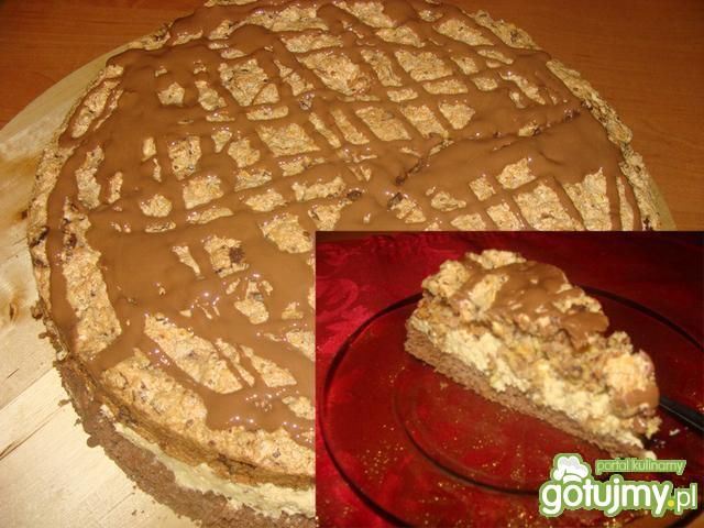 Prince polo Edzi Prince polo Edzi