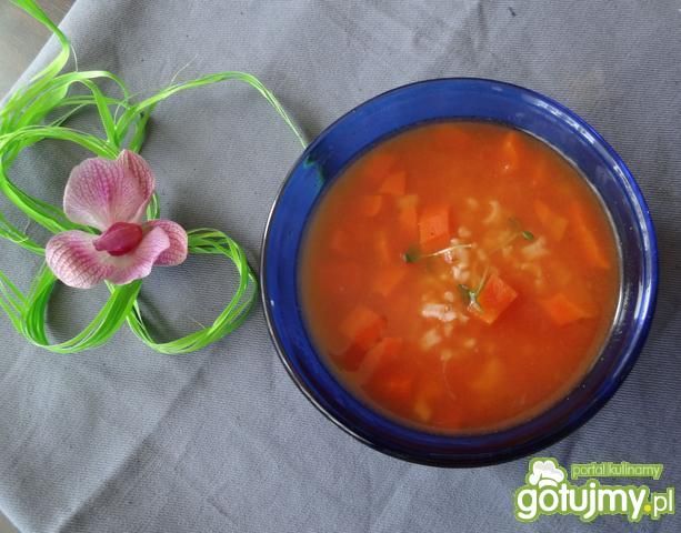 Prosta pudliszkowa z ryżem Prosta pudliszkowa z ryżem