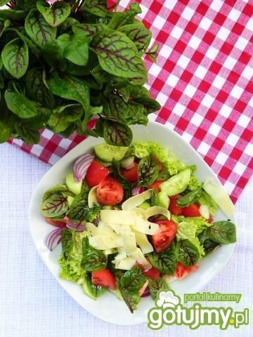 Prosta sałatka ze szczawiem - do grilla Prosta sałatka ze szczawiem - do grilla