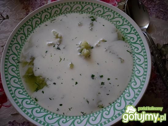 Prosta zupa kalfiorowa