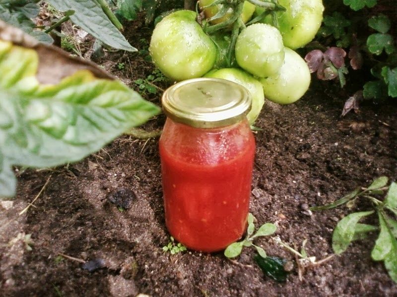 Przecier pomidorowy Przecier pomidorowy