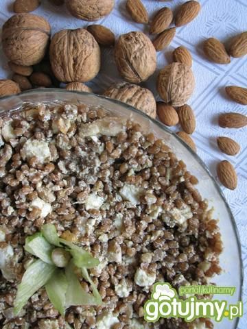 Przekąska mózgowca