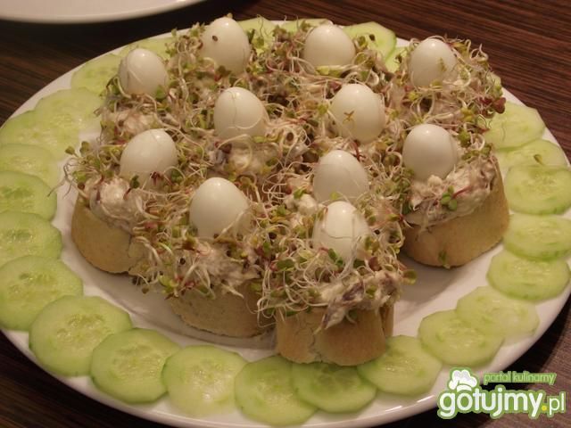 Przepiórcze gniazda :-)