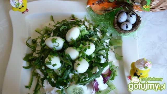 Przepiórcze gniazdo rozmaitości   Przepiórcze gniazdo rozmaitości