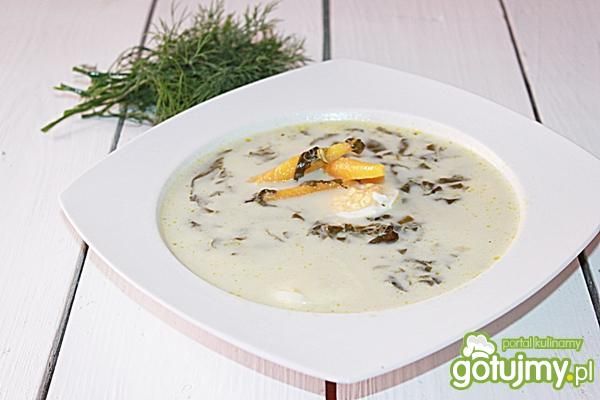 Przepyszna szczawiowa  2