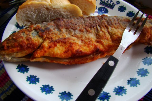 Pstrąg na cyrtynową nutę Pstrąg na cyrtynową nutę