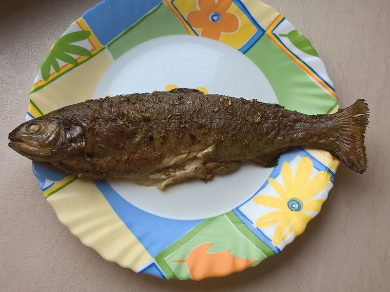 Pstrąg tęczowy w marynacie rozmarynowej