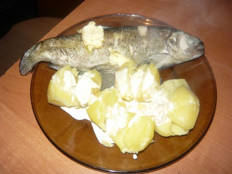 Pstrąg  w folii pieczony