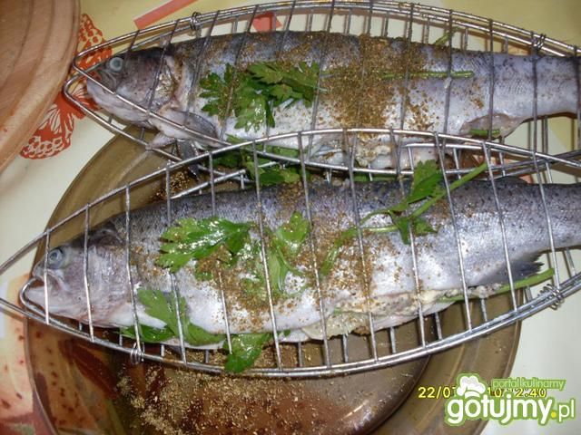 Pstrąg w przyprawach na grilla  Pstrąg w przyprawach na grilla