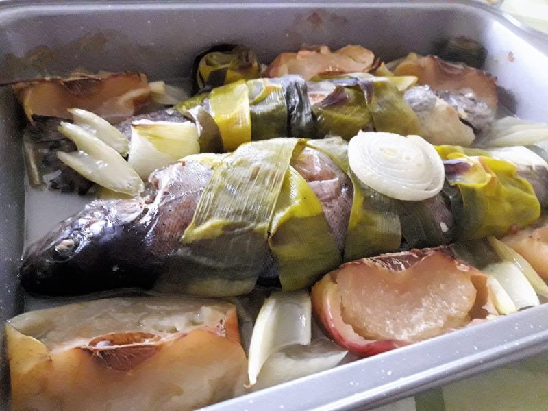 Pstrąg w zielonym płaszczu z pora