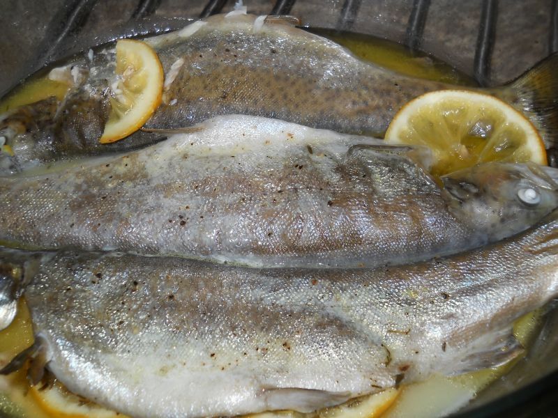 Pstrąg z cytryną, pomarańczą i zielonym pieprzem