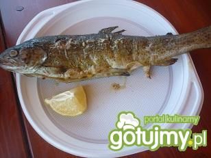 Pstrąg z grilla wg Wafelka