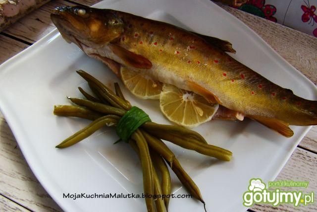 Pstrąg z marynaty  Pstrąg z marynaty
