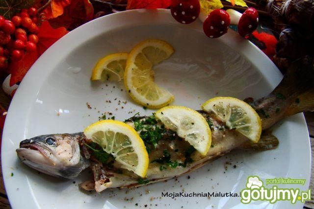 Pstrąg z pary z pietruszką  Pstrąg z pary z pietruszką