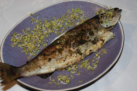 Pstrąg z patelni grillowej