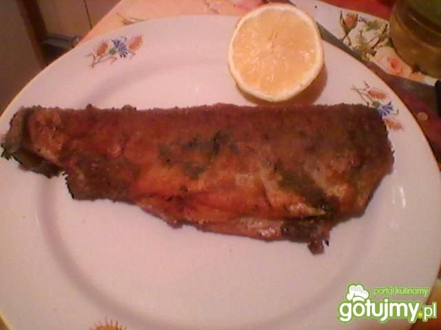 Pstrąg z patelni z cebulą Pstrąg z patelni z cebulą