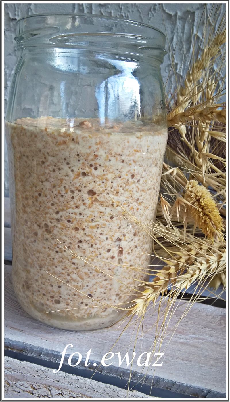 Pszenny zakwas na chleb