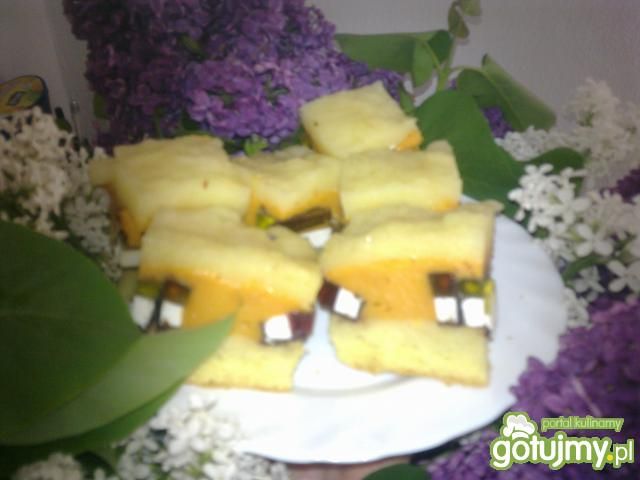 Ptasi Raj pod cytrynową kołderką    