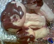 Ptysiowe grzybki Ptysiowe grzybki