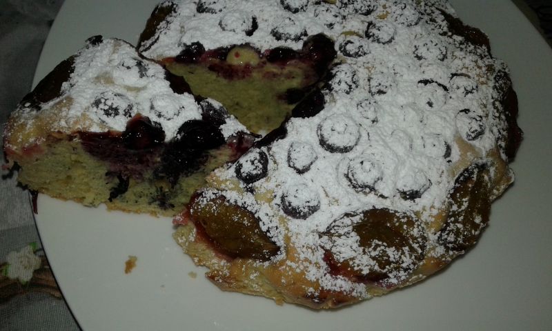 Puchatek śliwkowo - borówkowy Puchatek śliwkowo - borówkowy