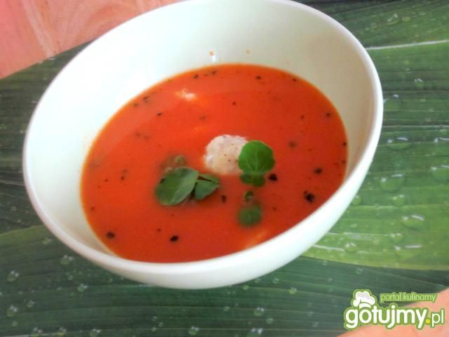 Pudliszkowa z kluseczkami 