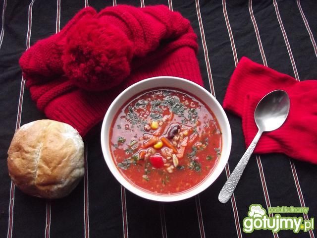 Pudliszkowa z meksykańskim temperamentem