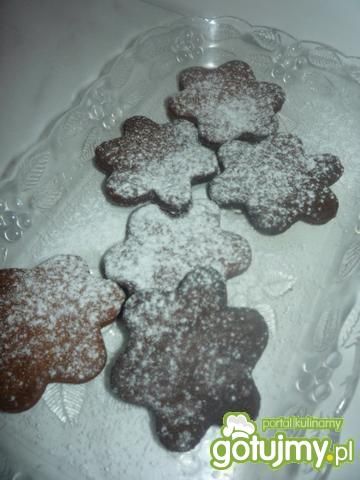 Pudrowe ciasteczka kakaowe