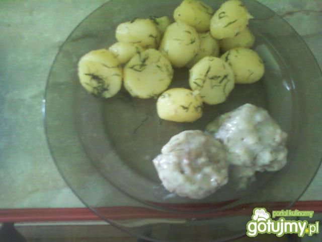 Pulpety w sosie koperkowym  Pulpety w sosie koperkowym