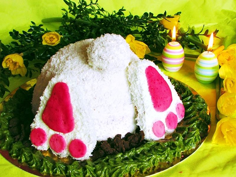 Pupa białego zajączka  Pupa białego zajączka