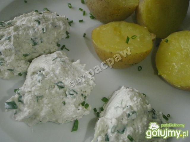 Pyry z gzikiem towarzyskim Pyry z gzikiem towarzyskim