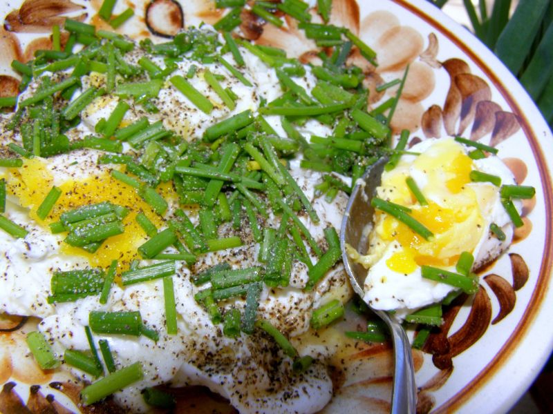 Pyszne jajka z wody-nie trzeba obierać ze skorupki