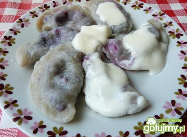 Pyszne pierogi z jerzynami i śmietaną