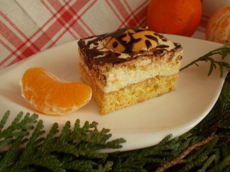 Pyszny Cytruskowiec Pyszny Cytruskowiec