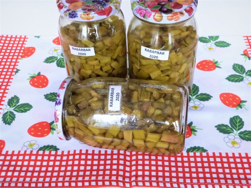 Rabarbar w słoikach na zimę Rabarbar w słoikach na zimę