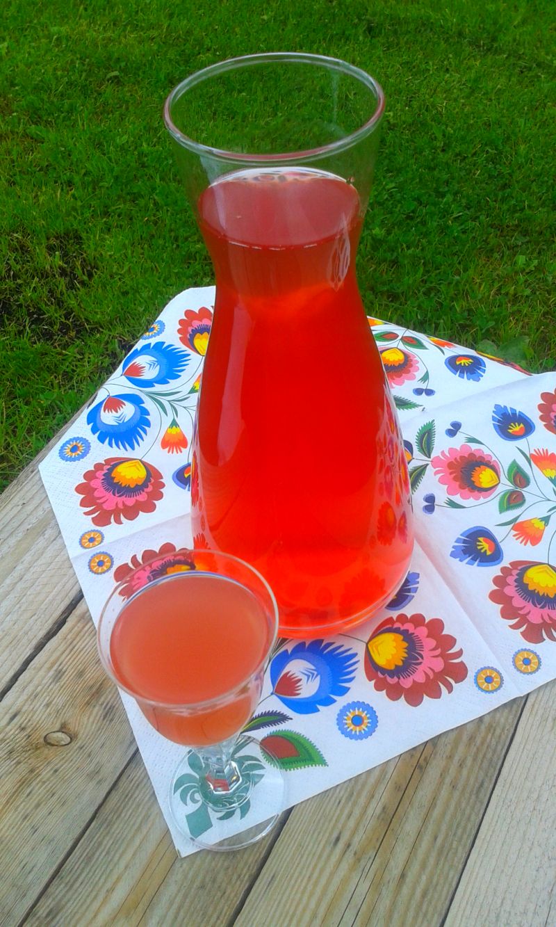 Rabarbarówka a`la Igraszki Losu Rabarbarówka a`la Igraszki Losu