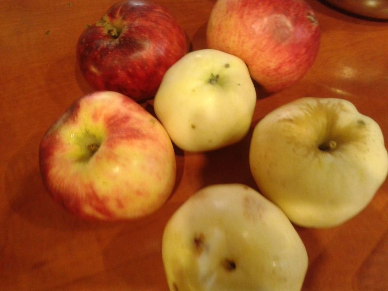 Racuchy jabłkowo cynamonowe