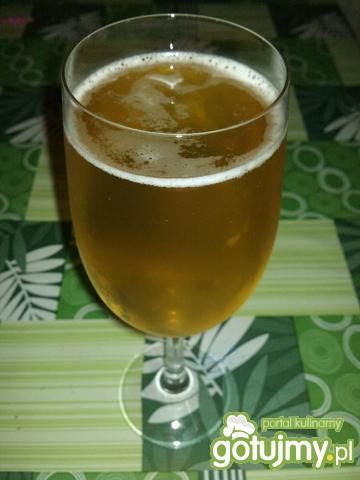 Radler Onego Radler Onego