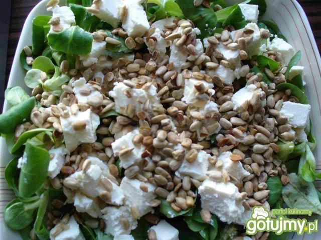 Roszpunka ze słonecznikiem