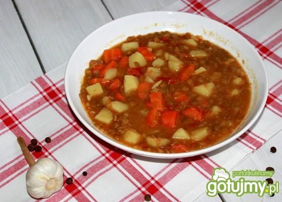 Rozgrzewająca zupa z zielonej soczewicy 
