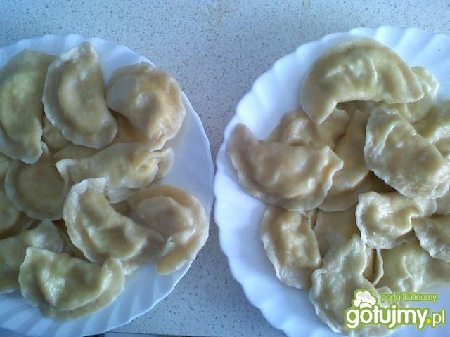 ruskie pierogi