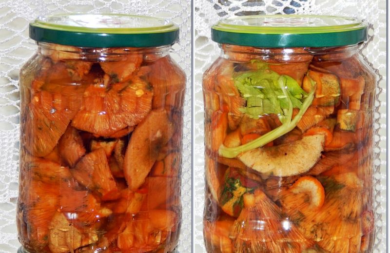 Rydze kiszone w solance Rydze kiszone w solance