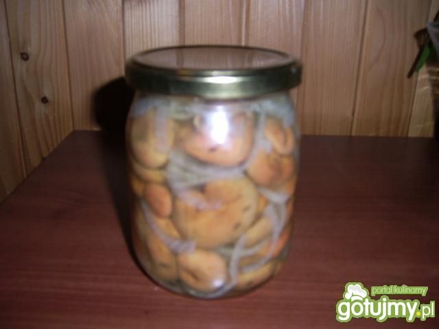 Rydze marynowane 