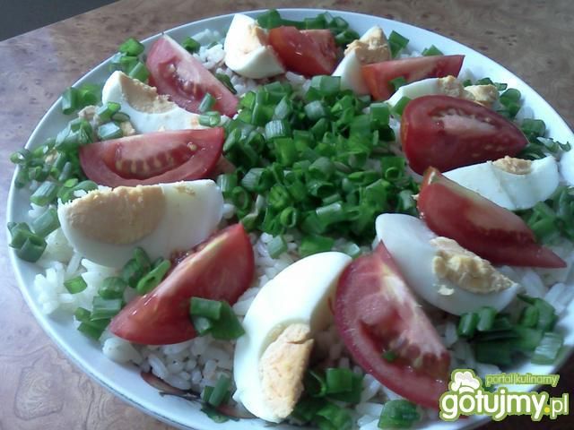 ryż z tuńczykiem 2 ryż z tuńczykiem 2